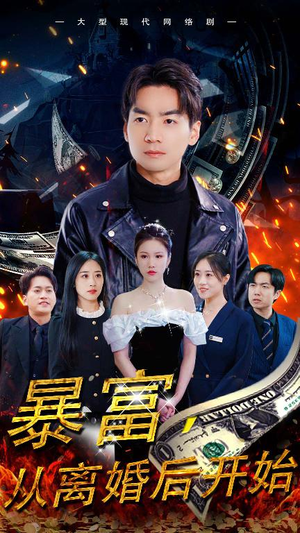 暴富，从离婚后开始（97集）高清无码免费看