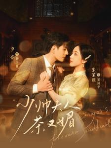 少帅夫人茶又媚（93集）大结局