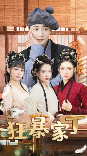 狂暴家丁$飞驰人生之超品家丁（90集）女主角是谁