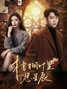 梧桐叶里思星辰（100集）短剧热门合集