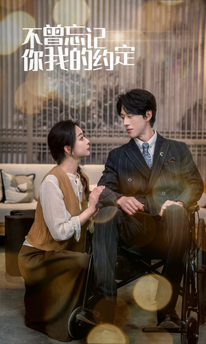 不曾忘记你我的约定（51集）短剧介绍