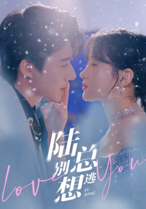 陆总别想逃（80集）精彩短剧下载