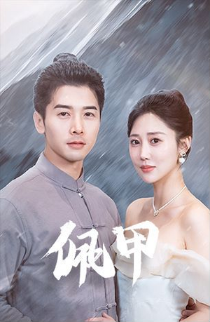 佩甲（93集）全集一网打尽