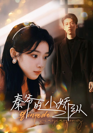 秦爷的小娇纵（96集）好看吗