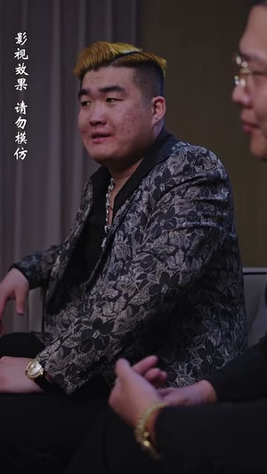 北城往事之风起云涌（60集）全季一次看完