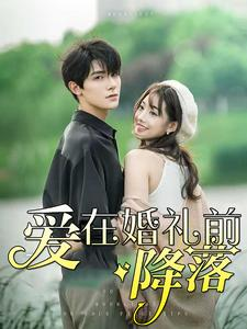 爱在婚礼前降落（50集）短剧分享剧集