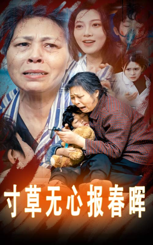 寸草无心报春晖（31集）大结局完美收官