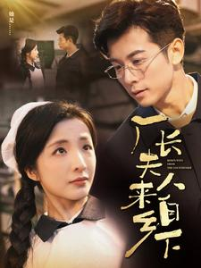 厂长夫人来自乡下（60集）短剧太上头了