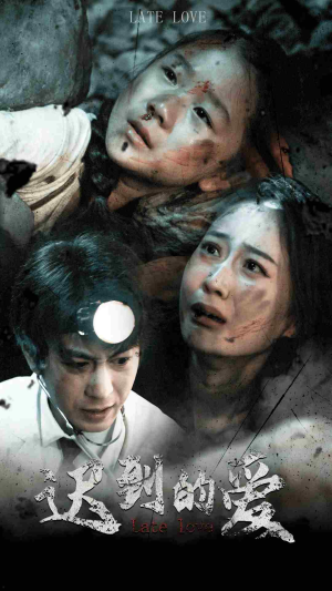 迟到的爱（48集）剧情简介