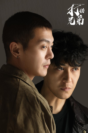 打拐兄弟（30集）男主角是谁