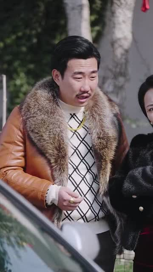 大年三十回娘家（30集）高分佳作免费看