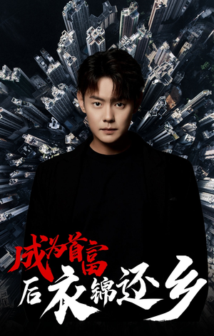 成为首富后衣锦还乡（30集）大结局