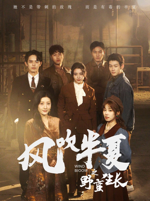 风吹半夏之野蛮生长（59集）更新时间