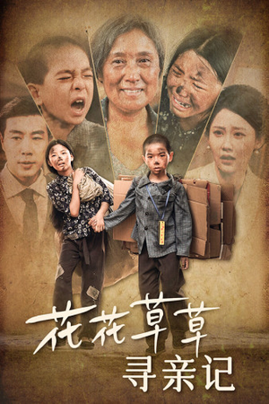 花花草草寻亲记（42集）小短剧抢先看