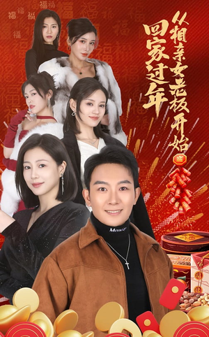 回家过年从相亲女老板开始（64集）观看软件