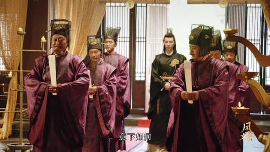 凤婿（28集）免费短剧看全集