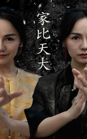 家比天大（63集）免费短剧全集看