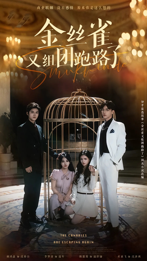 金丝雀又组团跑路了（长篇）在线看完整版