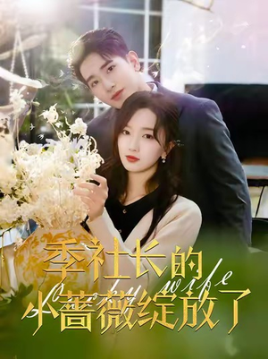 季社长的小蔷薇绽放了（60集）解说