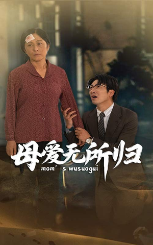 母爱无所归（33集）网盘在线观看
