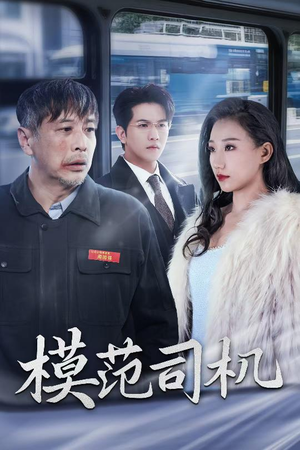 模范司机（30集）免费版