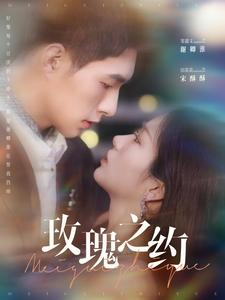 玫瑰之约（95集）精彩好看短剧