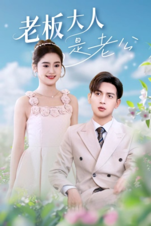 老板大人是老公（45集）短剧小说在线看