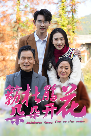簕杜鹃花朵朵开（38集）免费看短剧