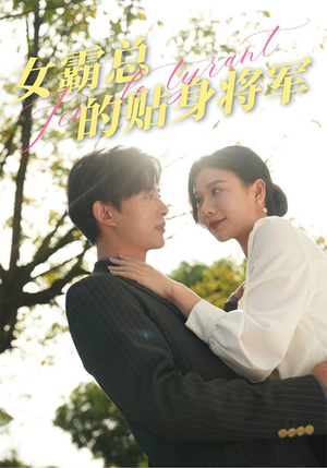 女霸总的贴身将军（80集）一口气追完全集