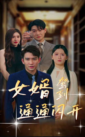 女婿驾到，通通闪开（34集）小短剧推荐