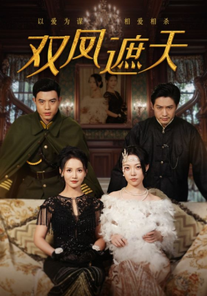 双凤遮天（62集）简直不要太好看