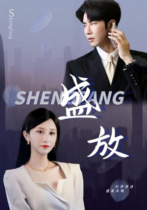 盛放（71集）完整版