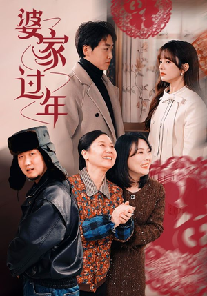 婆家过年（71集）1-102集