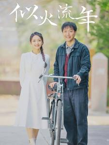 似火流年（100集）最火短剧热播