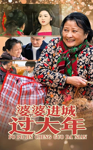 婆婆进城过大年（33集）一口气追完短剧