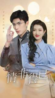 情非得已（60集）短剧全集免费看