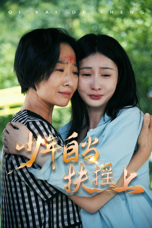 少年自当扶摇上（30集）免费在线看