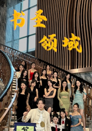 书圣领域（95集）新短剧推荐