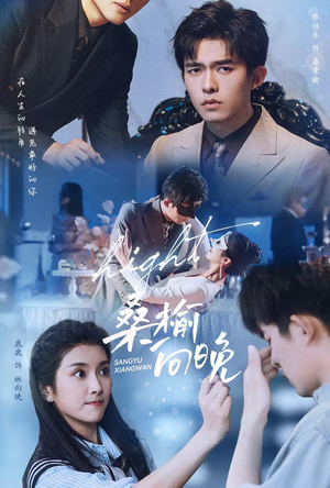 桑榆向晚（65集）短剧在哪里看