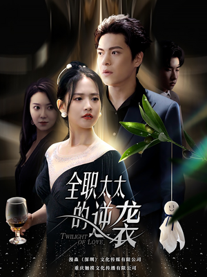 全职太太的逆袭（80集）热门短剧大全