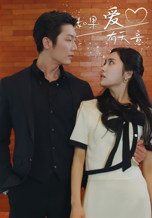 如果爱有天意（80集）一起追短剧