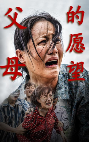 认祖归宗（32集）在哪里可以全集