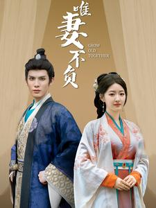 唯妻不负（80集）哪个网站可以看