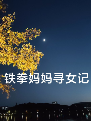 铁拳妈妈寻女记（69集）不用花钱看全剧