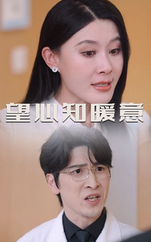 望心知暖意（31集）爆款短剧推荐