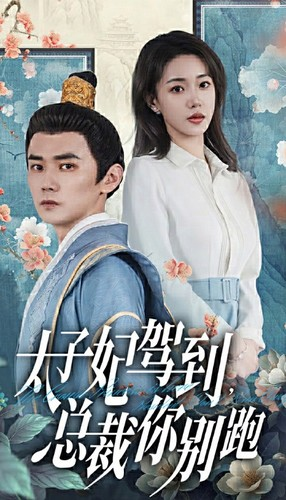 太子妃驾到，总裁你别跑（80集）观看软件