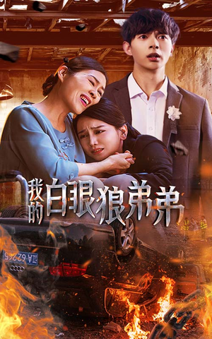 我的白眼狼弟弟(69集) 我的白眼狼弟弟(69集)解说