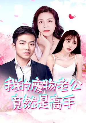 我的废物老公竟然是高手（100集）解说