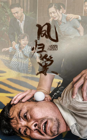 新版：凤归巢（68集）在哪个app能看