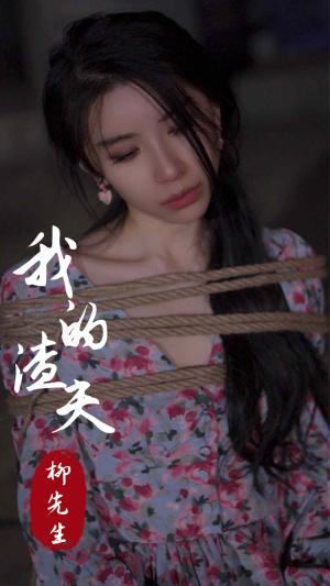 我的渣夫柳先生（80集）免费观看完整版